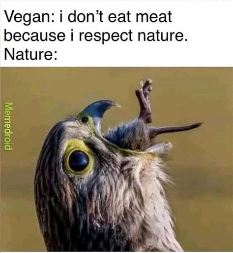 Vegan Meme By Tano080501 Memedroid