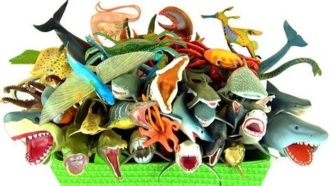 Box Full Of Toys Sea Animals For Children Learn Ocean Sea Creatures