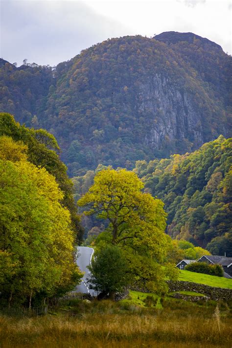 Derwent Water Walk Free Stock Photo Public Domain Pictures