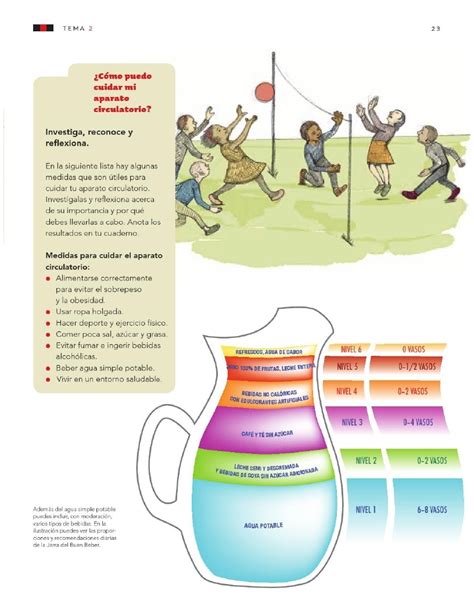Organizar una propuesta divertida para tú tiempo libre y compartirla con tú familia. Acciones para favorecer la salud - Bloque I - Tema 2 ...
