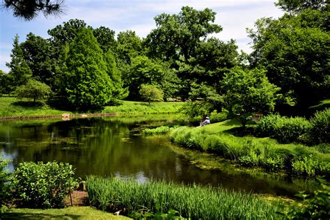 Chicago Botanic Gardens Meditation June 2018 Steven Pappas Flickr