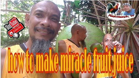 How To Make Miracle Fruit Juice Pantomanok Tv Youtube