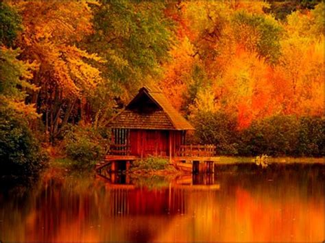 Autumn Autumn Forest Cabins In The Woods Rustic Cabin Decor
