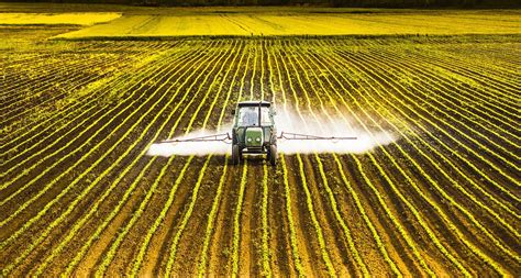 The Effects Of Glyphosate On The Environment And Health Foodprint