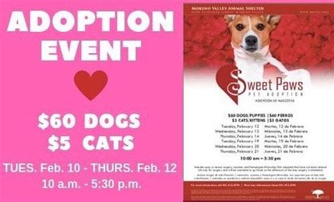 Sweet Paws Pet Adoption Event When February 12 14 And 19 21 Time 10