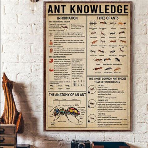 Ant Knowledge Poster Types Of Ants Poster Educational Etsy