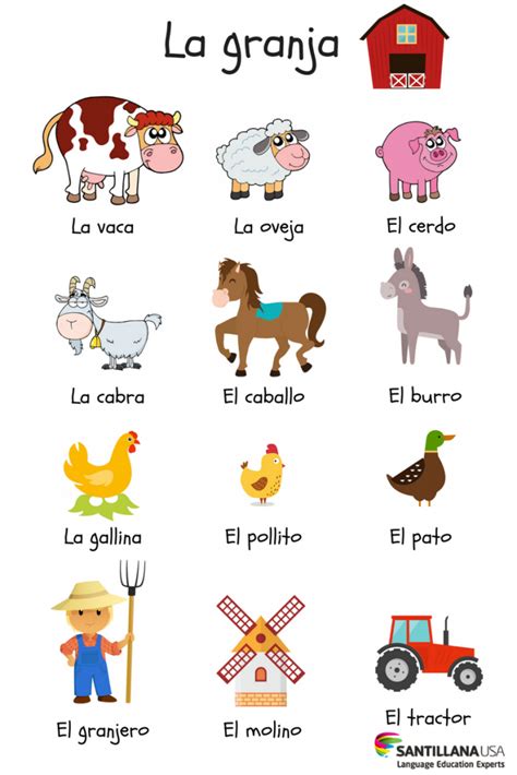 Vista Higher Learning Tarjetas De Vocabulario En Español Memorama De