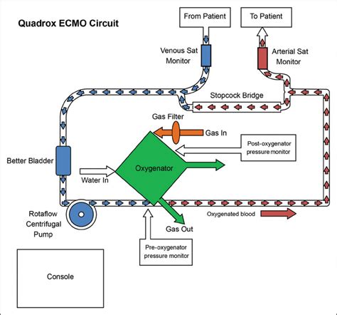 Schematic Of Extracorporeal Membrane Oxygenation Ecmo System Used In Download Scientific