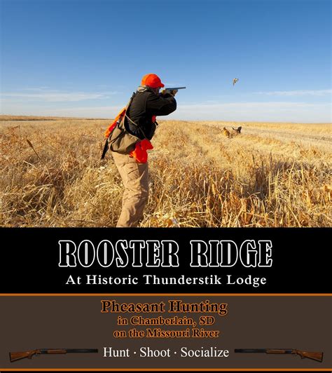 South Dakota Pheasant Hunt for 4 Hunters