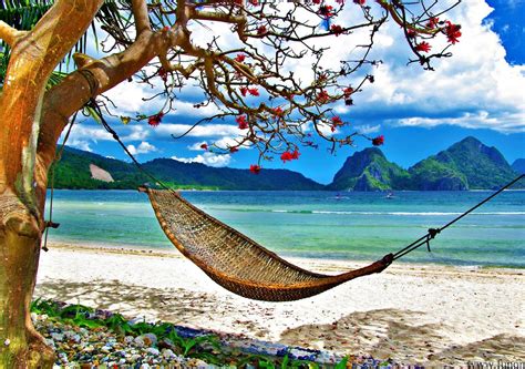 Summer Beach Hammock Wallpapers Desktop Background