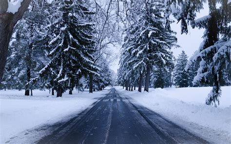 Download Wallpaper 1440x900 Winter Road Snow Trees