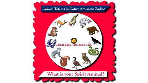 When the kangaroo spirit animal appears to you, it's telling you to adapt to new situations and environments. Animal Totems in Native American Zodiac - What is Spirit ...