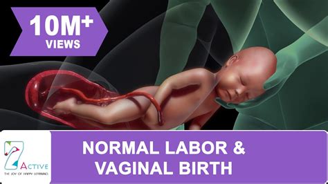 Amazing Normal Labor Vaginal Birth Youtube