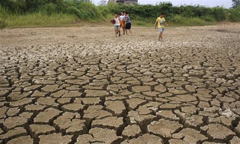 The World Faces Widespread Food Shortages Due To Global Warming Daily
