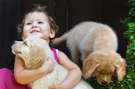 7 Reasons Why You Should Adopt A Pet If You Have Kids Or Seniors