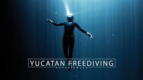 Yucatan Freediving Experiences 2023 Youtube