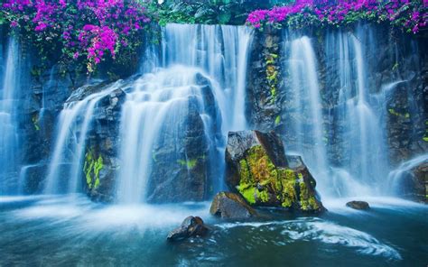 Waterfall With Flowers Hd Wallpaper Wallpaper Flare