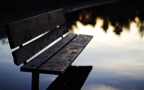 Man Made Bench Hd Wallpaper