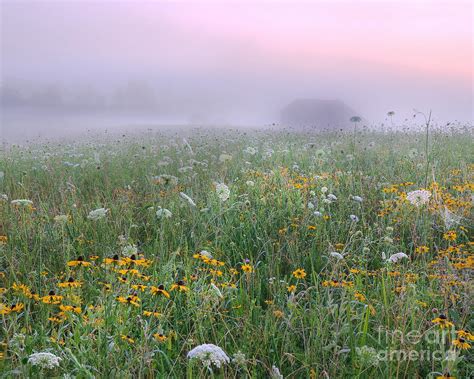 Early Morning Meadow Photograph By Wanda Krack Fine Art America