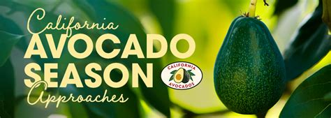 California Avocado Commission Kicks Off Avocado Season With Social
