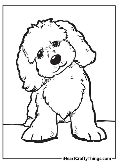 Free Poodle Coloring Pages