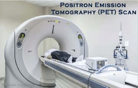 Procedure For Positron Emission Tomography 10 Download Scientific