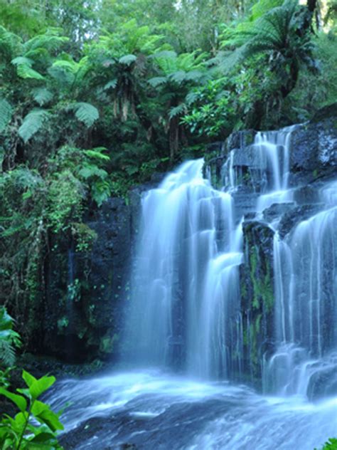 Free Download Tropical Rain Forest 4k Waterfall Wallpaper 4k 3840x2160