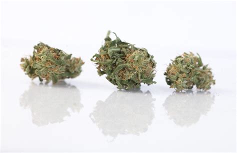 Los 4 Tipos De Marihuana Y Sus Efectos