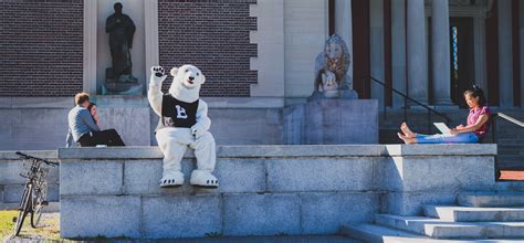 The Polar Bear Mascot Bowdoin College