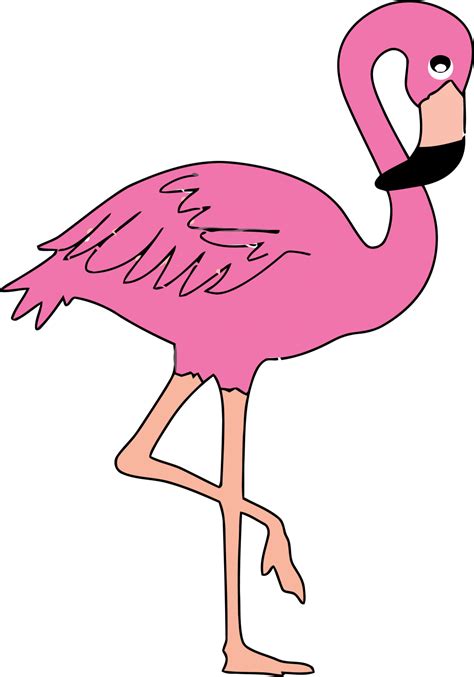 Clip Art Flamingo Png Download Full Size Clipart 5439547