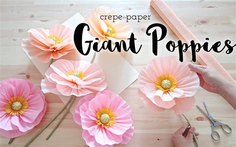 Easy Giant Crepe Paper Poppies Miss Petal And Bloom