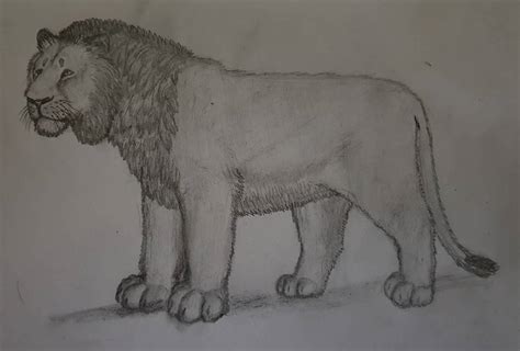 Panthera Atrox By Anonymousllama428 On Deviantart