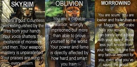 Maybe you would like to learn more about one of these? morrowind oblivion skyrim as seen through the eyes of | Skyrim, Elder scrolls memes, Skyrim memes