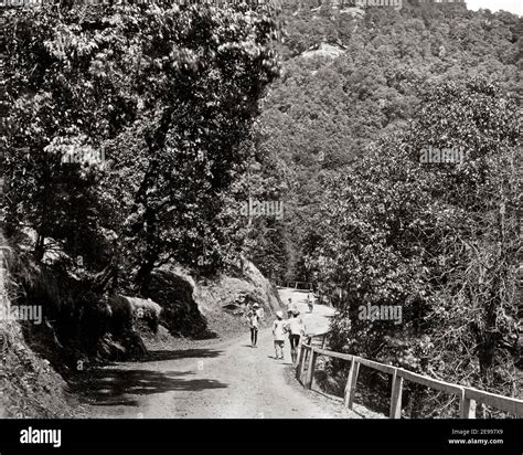 Late 19th Century Photograph Walkers On A Road Simla Shimla India