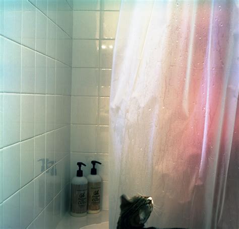 Shower Showering Khloe The Cat Always Insists On Watchi Flickr
