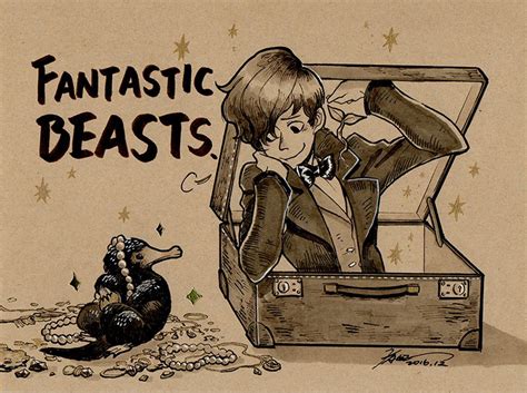 Fantastic Beasts Harry Potter Fantastic Beasts Harry Potter Drawings