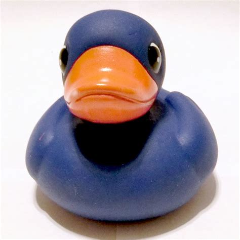 Blue Rubber Duck Rubber Duck Rubber Ducky Duck