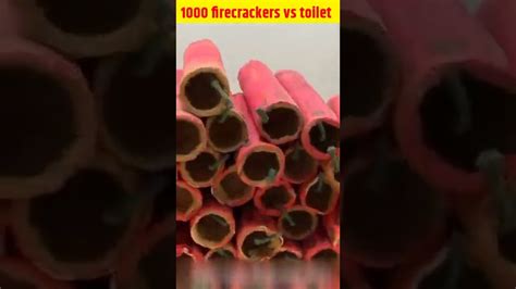 1000 Firecrackers Vs Toilet 🤯 Shorts Youtube