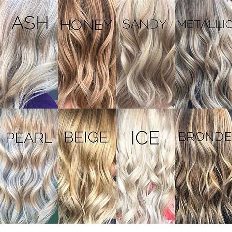 Example of different hair colors. Different shades of blonde hair color. | Blonde hair ...