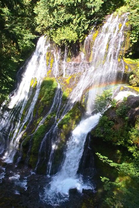 Panther Creek Falls Go Hiking Trip Waterfall