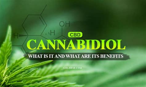 what is cannabidiol cbd and what are its significant benefits faq s about cannabidiol cbd