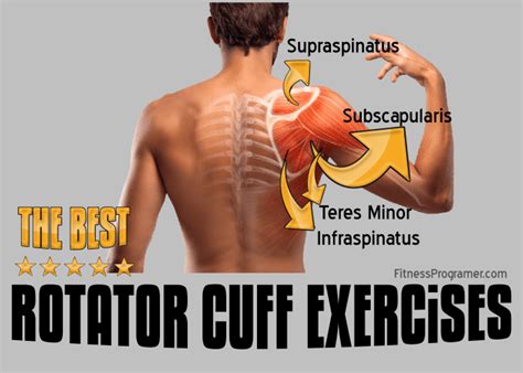 The Best Rotator Cuff Exercises Workout Builder