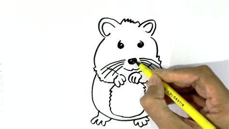 How To Draw A Hamster Easy Steps For Children Kids