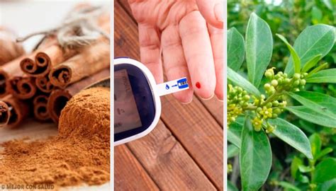 Enregistrerenregistrer plantas para curar la diabetes pour plus tard. 5 plantas medicinales que ayudan a controlar la diabetes — Mejor con Salud