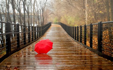 Download the perfect rain pictures. Free download Rainy Day HD Wallpapers 1440x900 for your ...