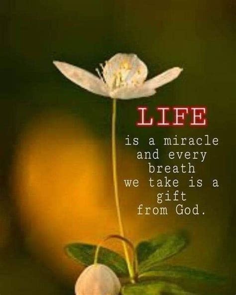 Life Is A Miracle And Every Breath We Take Is A T From God Phrases