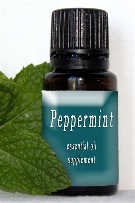 17 Uses For Peppermint Essential Oilpure Home And Body Llc