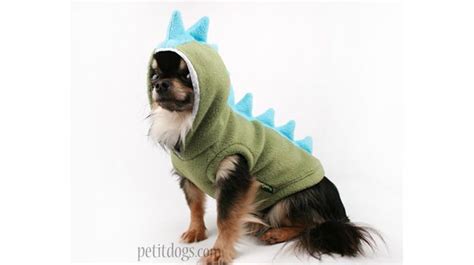 These Dog Halloween Costumes Will Destroy You With Cute Small Dog
