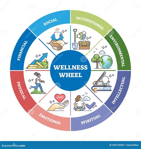 Wellness Wheel With Personal Divisions With Areas Of Life Outline Diagram Stock Vector