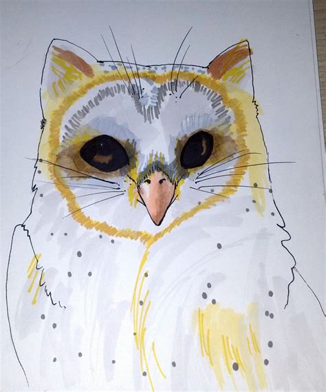Cat Owl By Jinxycatn On Deviantart